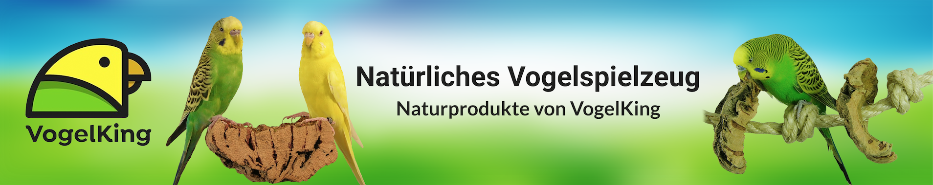 Wellensittich Spielzeug von VogelKing-Header