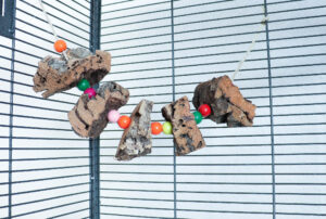 Ein Seil im Vogelkäfig an dem abwechseln Korkbruchstücke und bunte Holzperlen hängen