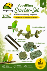 Starter Set Übersichtsbild mit 6 Produkten